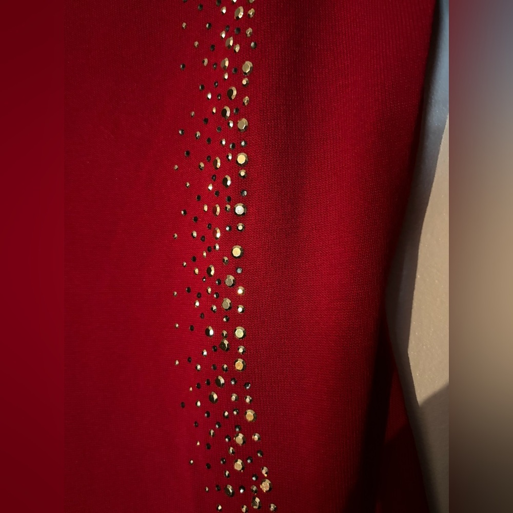 Calvin Klein Scarlet Dress with Metallic Details - Picture 8 of 10